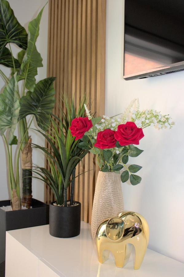 L'Escale Tropicale, Appartement Independant Avec Terrasse Privative Saint-Quentin  Dış mekan fotoğraf