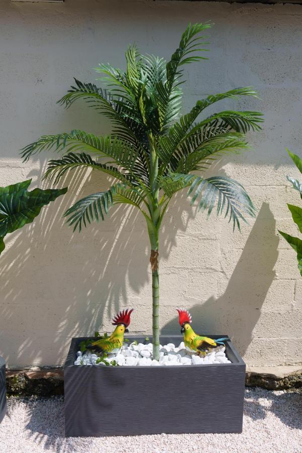 L'Escale Tropicale, Appartement Independant Avec Terrasse Privative Saint-Quentin  Dış mekan fotoğraf